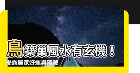 鳥來築巢 風水|鳥築巢風水：提升居家能量的秘訣【鳥築巢風水】 – 香港 算命師。